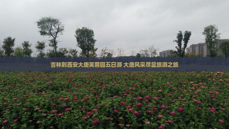 吉林到西安大唐芙蓉园五日游 大唐风采尽显旅游之旅