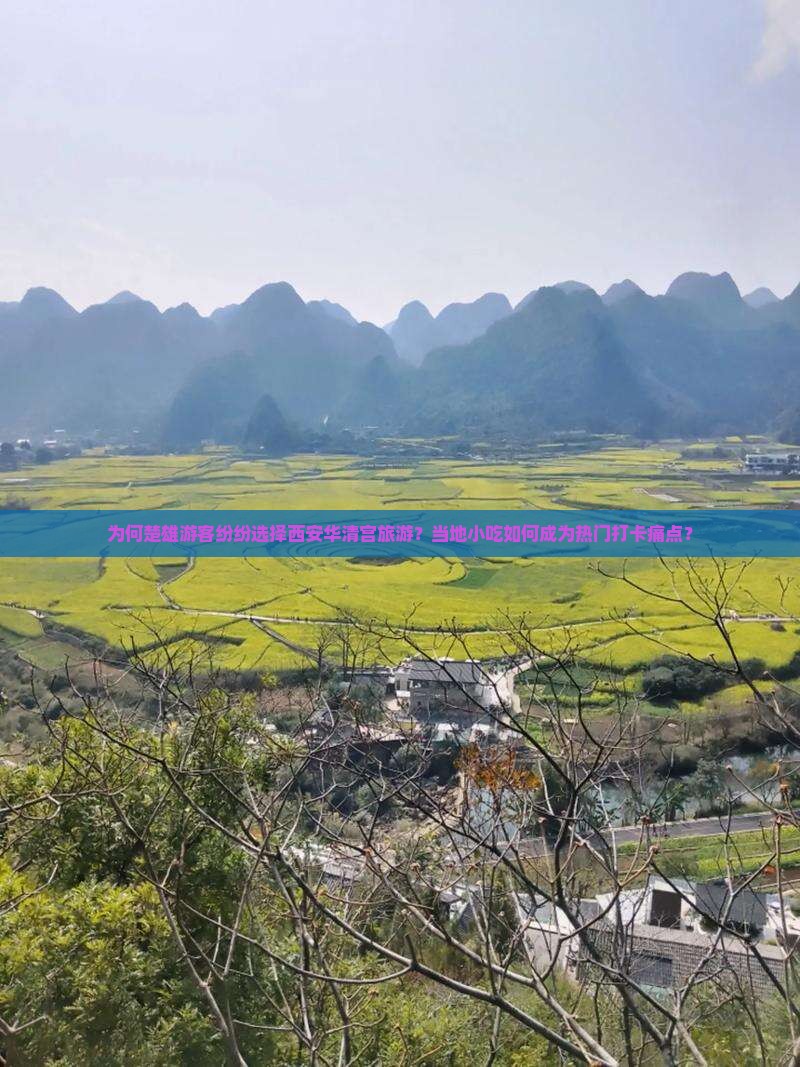 为何楚雄游客纷纷选择西安华清宫旅游？当地小吃如何成为热门打卡痛点？