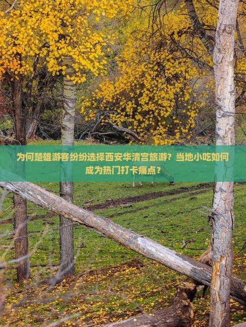 为何楚雄游客纷纷选择西安华清宫旅游？当地小吃如何成为热门打卡痛点？