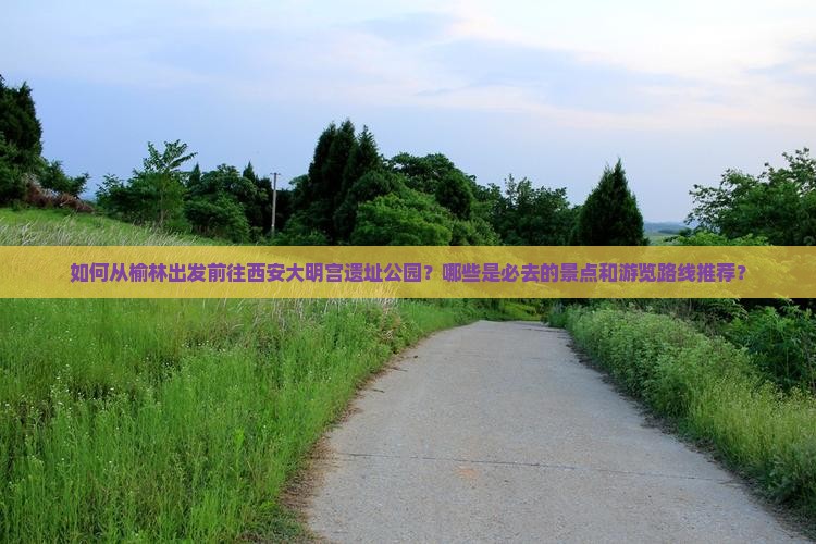 如何从榆林出发前往西安大明宫遗址公园？哪些是必去的景点和游览路线推荐？