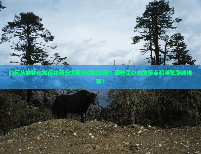 如何从榆林出发前往西安大明宫遗址公园？哪些是必去的景点和游览路线推荐？