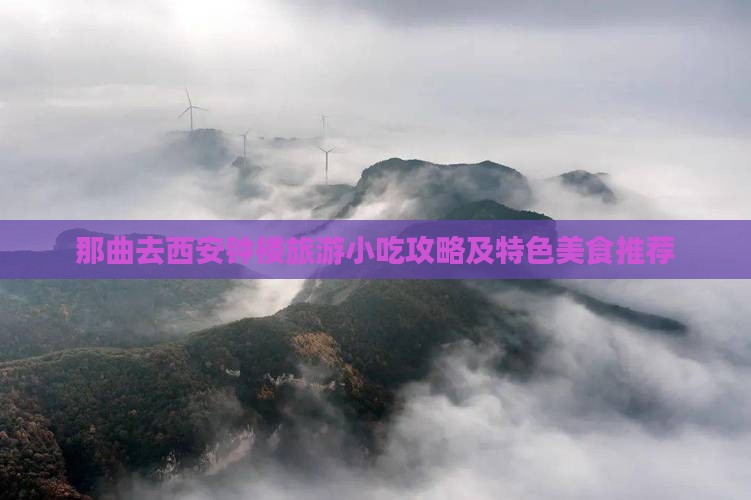 那曲去西安钟楼旅游小吃攻略及特色美食推荐