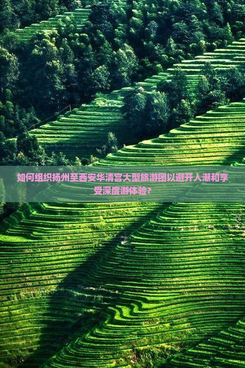 如何组织扬州至西安华清宫大型旅游团以避开人潮和享受深度游体验？
