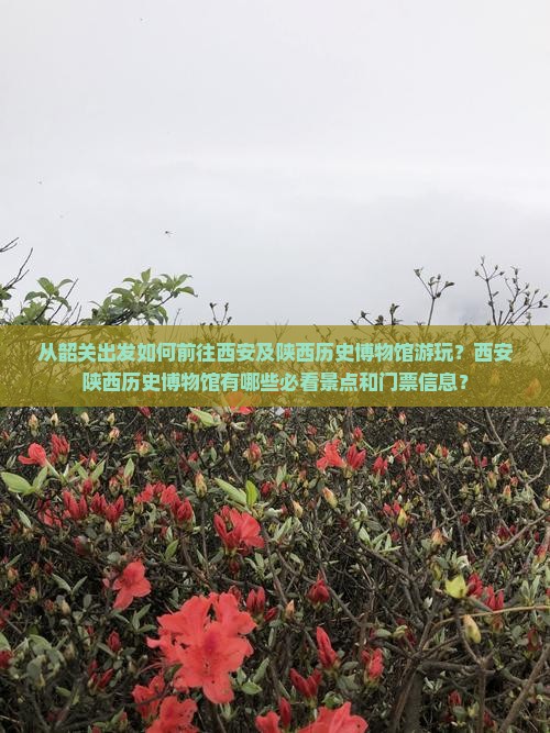 从韶关出发如何前往西安及陕西历史博物馆游玩？西安陕西历史博物馆有哪些必看景点和门票信息？