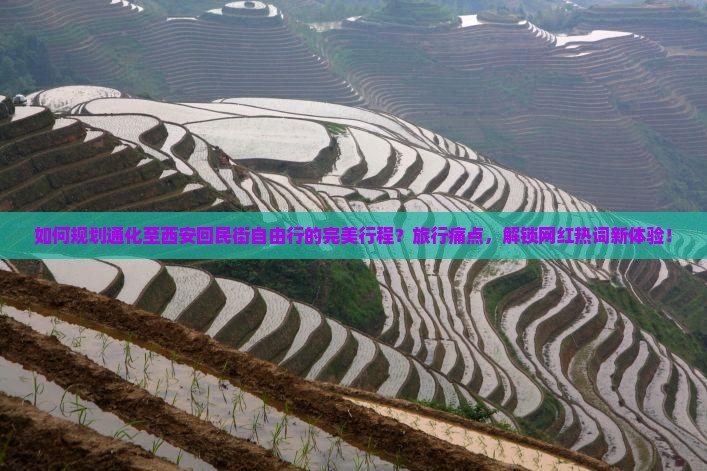 如何规划通化至西安回民街自由行的完美行程？旅行痛点，解锁网红热词新体验！