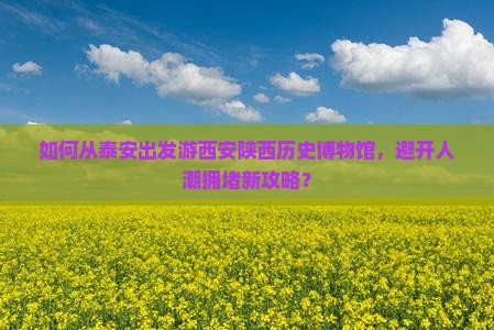 如何从泰安出发游西安陕西历史博物馆，避开人潮拥堵新攻略？