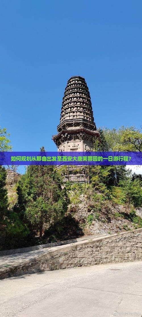 如何规划从那曲出发至西安大唐芙蓉园的一日游行程？