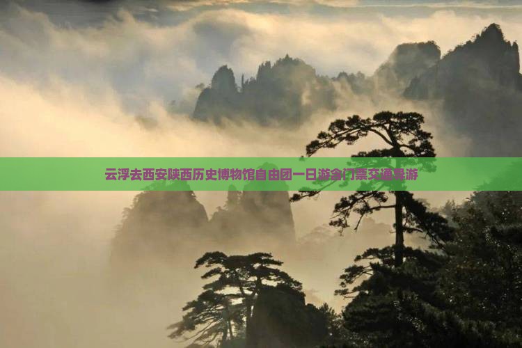 云浮去西安陕西历史博物馆自由团一日游含门票交通导游