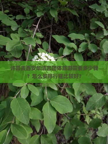 许昌去西安华清宫团体旅游需要多少钱？怎么安排行程比较好？