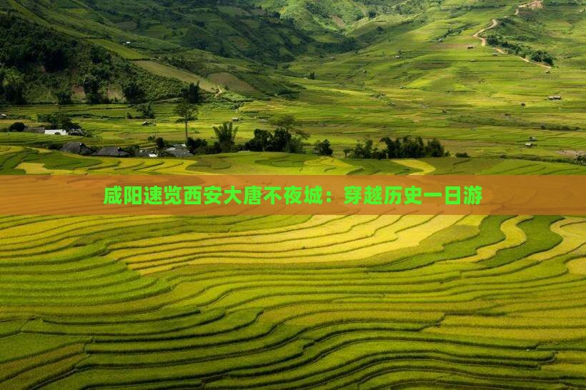 咸阳速览西安大唐不夜城：穿越历史一日游