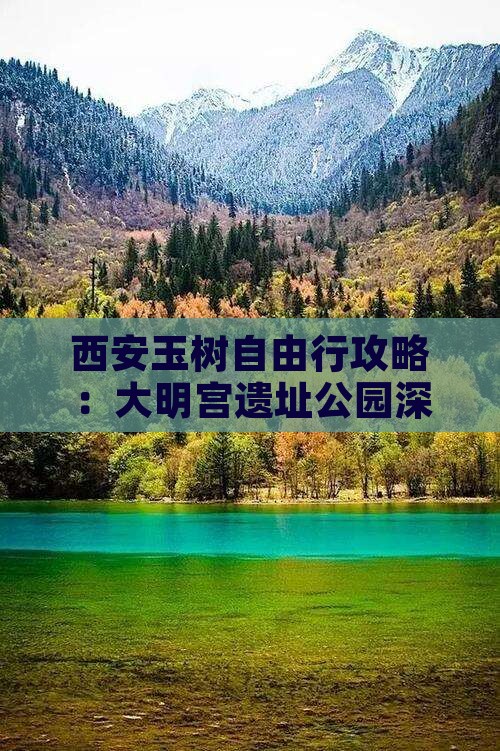 西安玉树自由行攻略：大明宫遗址公园深度游