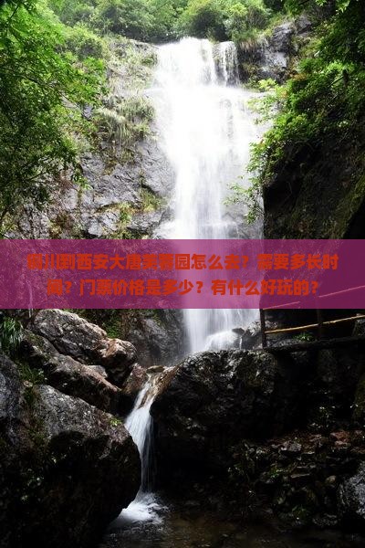 铜川到西安大唐芙蓉园怎么去？需要多长时间？门票价格是多少？有什么好玩的？
