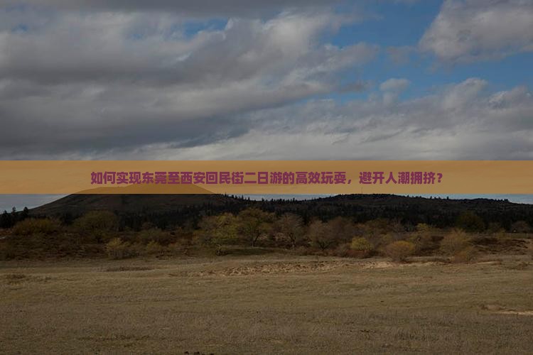 如何实现东莞至西安回民街二日游的高效玩耍，避开人潮拥挤？