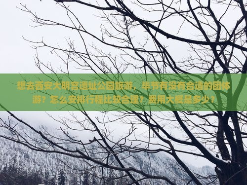 想去西安大明宫遗址公园旅游，毕节有没有合适的团体游？怎么安排行程比较合理？费用大概是多少？