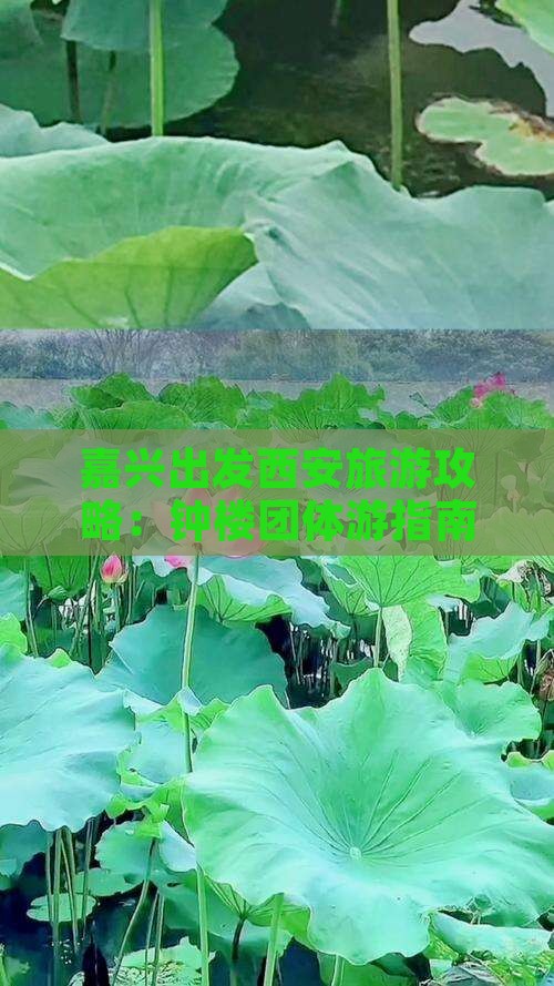 嘉兴出发西安旅游攻略：钟楼团体游指南