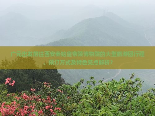 广元出发前往西安秦始皇帝陵博物院的大型旅游团行程、预订方式及特色亮点解析？