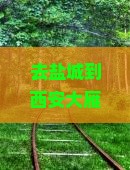 去盐城到西安大雁塔旅游怎么安排行程？附近还有什么好玩的地方？
