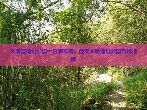 大明宫遗址公园一日游攻略：西安大明遗址公园游玩指南