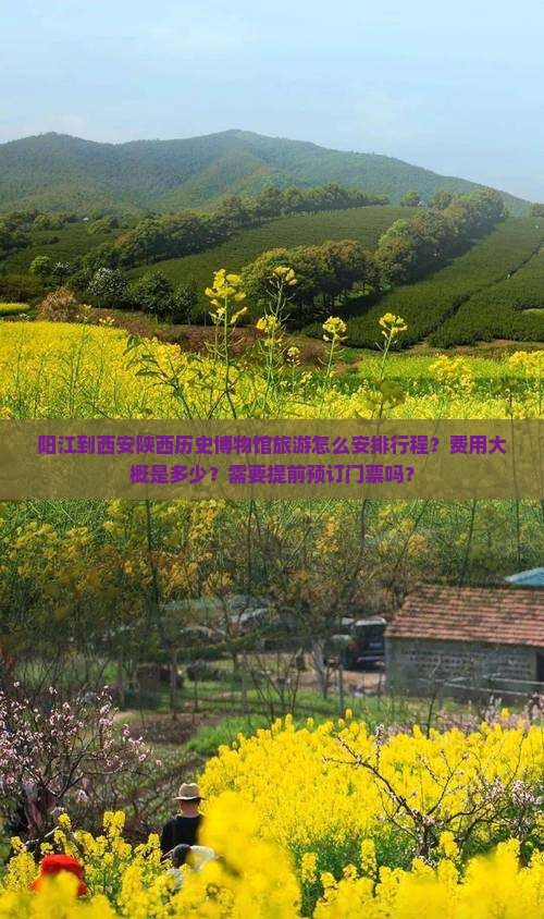 阳江到西安陕西历史博物馆旅游怎么安排行程？费用大概是多少？需要提前预订门票吗？