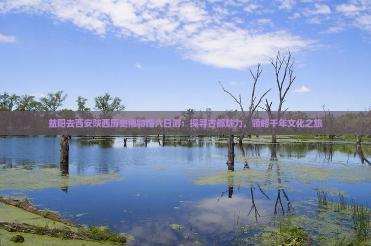 益阳去西安陕西历史博物馆六日游：探寻古都魅力，领略千年文化之旅