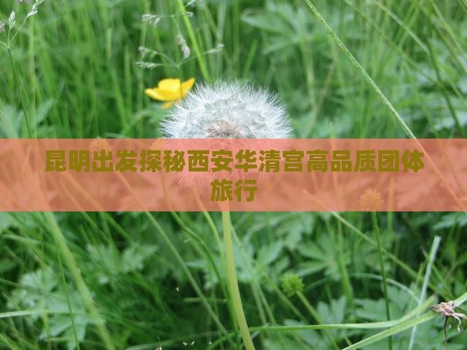 昆明出发探秘西安华清宫高品质团体旅行
