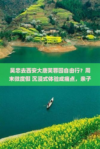 吴忠去西安大唐芙蓉园自由行？周末微度假+沉浸式体验成痛点，亲子游新宠？