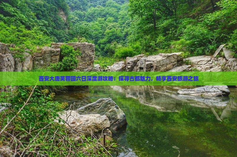 西安大唐芙蓉园六日深度游攻略：探寻古都魅力，畅享西安旅游之旅
