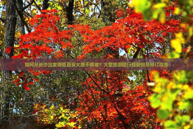 如何从长沙出发游览西安大唐不夜城？大型旅游团行程安排及预订指南