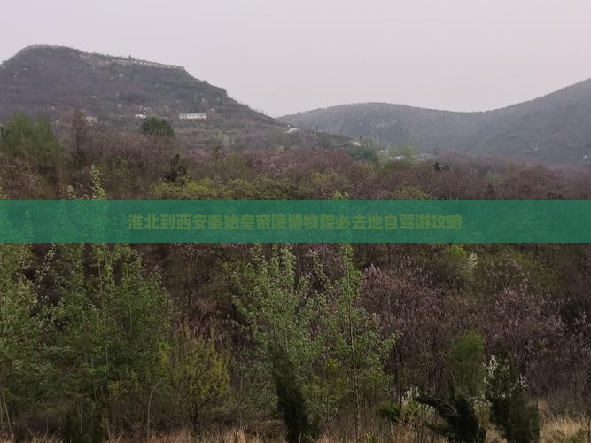 淮北到西安秦始皇帝陵博物院必去地自驾游攻略