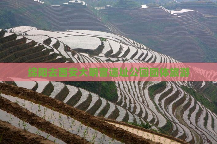 绵阳去西安大明宫遗址公园团体旅游