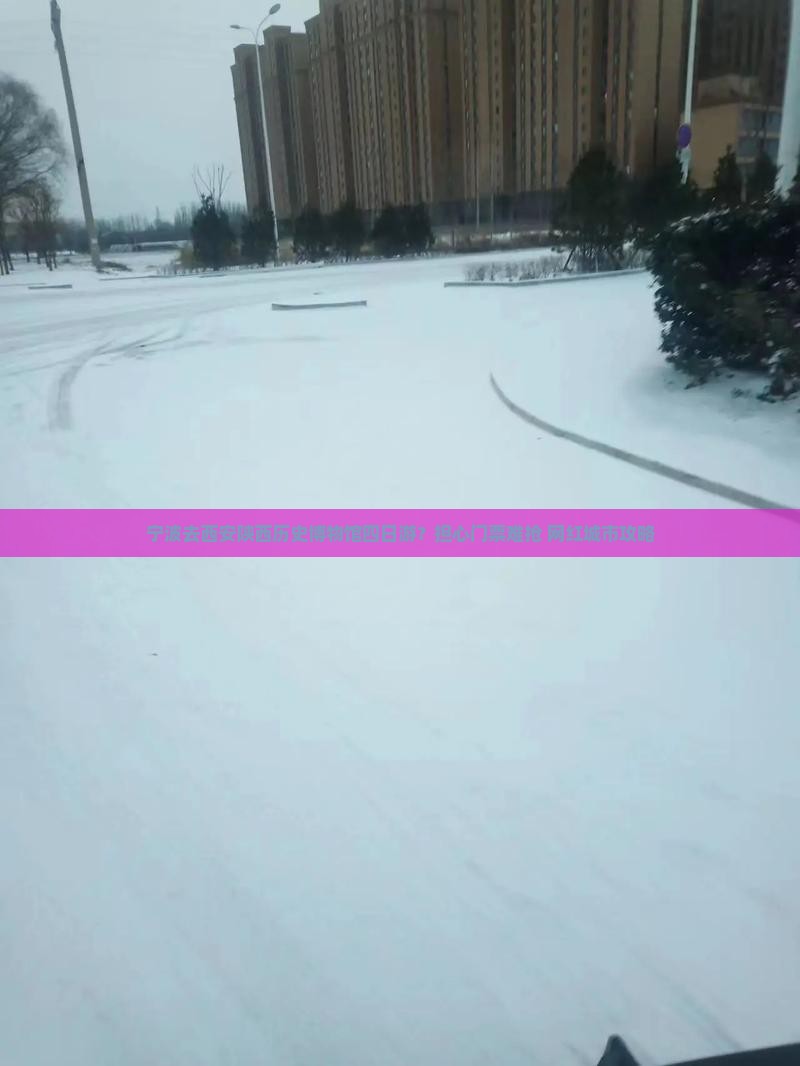 宁波去西安陕西历史博物馆四日游？担心门票难抢+网红城市攻略