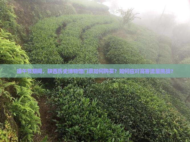 端午节期间，陕西历史博物馆门票如何购买？如何应对高客流量挑战？