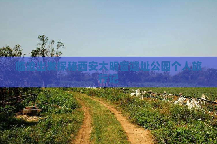 临沧出发探秘西安大明宫遗址公园个人旅行记