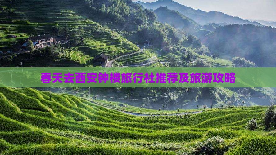 春天去西安钟楼旅行社推荐及旅游攻略