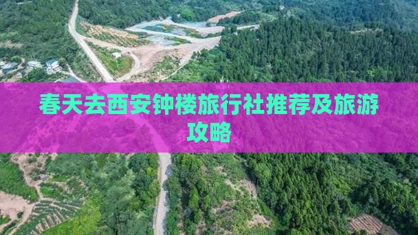 春天去西安钟楼旅行社推荐及旅游攻略