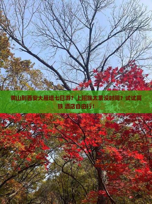 黄山到西安大雁塔七日游？上班族太累没时间？试试高铁+酒店自由行！
