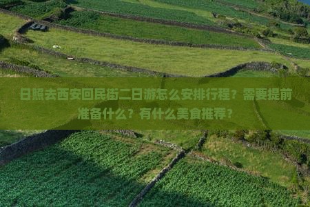 日照去西安回民街二日游怎么安排行程？需要提前准备什么？有什么美食推荐？