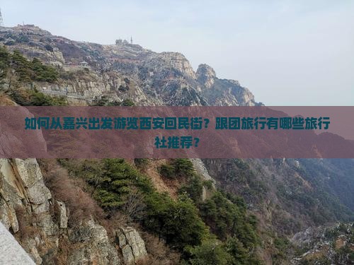 如何从嘉兴出发游览西安回民街？跟团旅行有哪些旅行社推荐？