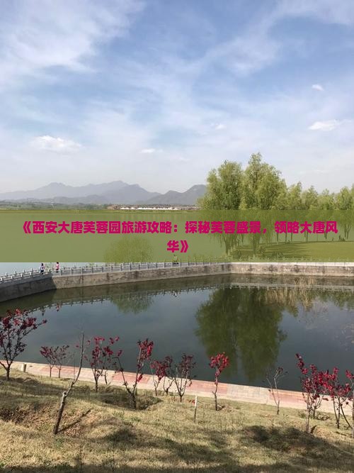 《西安大唐芙蓉园旅游攻略：探秘芙蓉盛景，领略大唐风华》