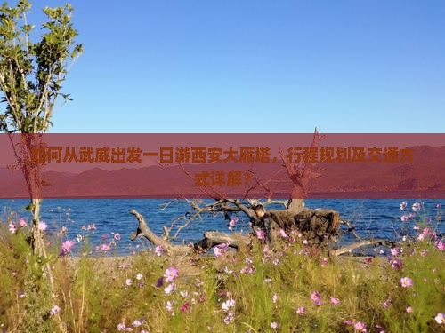 如何从武威出发一日游西安大雁塔，行程规划及交通方式详解？
