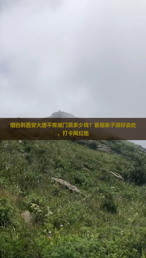 烟台到西安大唐不夜城门票多少钱？暑期亲子游好去处，打卡网红地