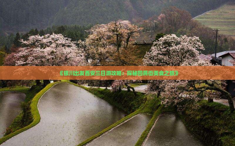 《银川出发西安三日游攻略：探秘回民街美食之旅》