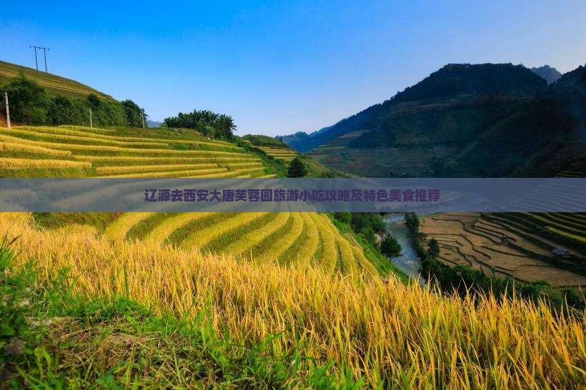 辽源去西安大唐芙蓉园旅游小吃攻略及特色美食推荐