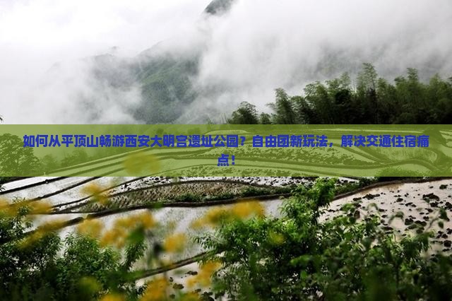 如何从平顶山畅游西安大明宫遗址公园？自由团新玩法，解决交通住宿痛点！