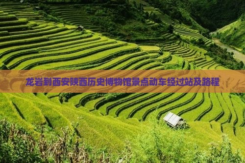 龙岩到西安陕西历史博物馆景点动车经过站及路程