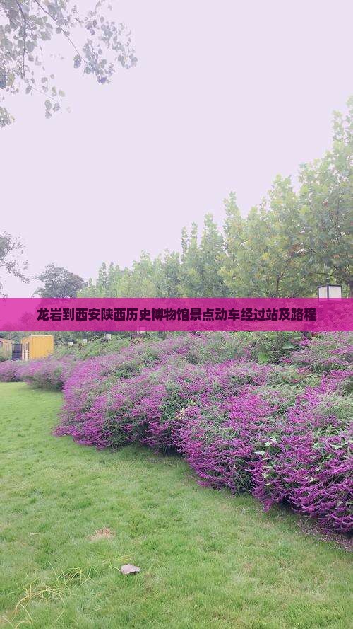 龙岩到西安陕西历史博物馆景点动车经过站及路程