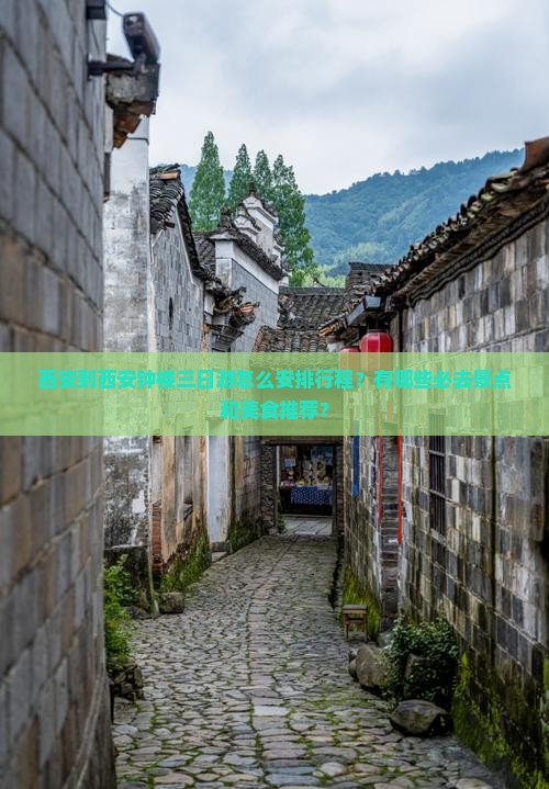 西安到西安钟楼三日游怎么安排行程？有哪些必去景点和美食推荐？