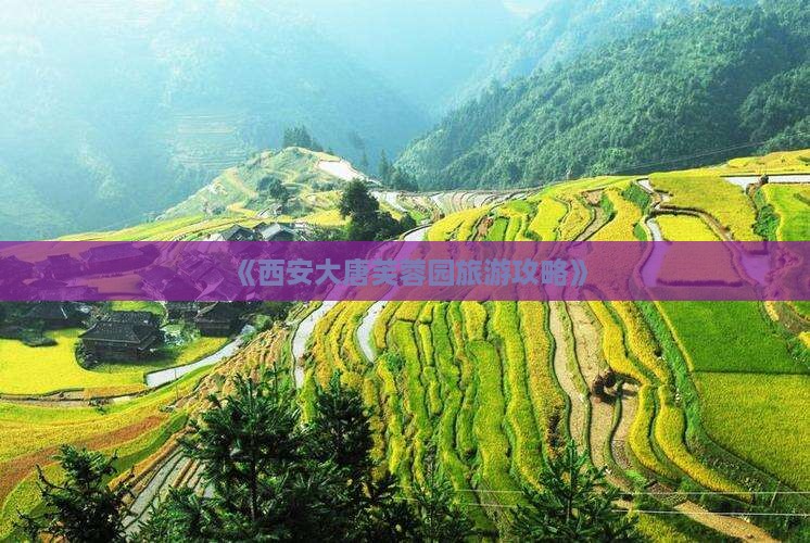 《西安大唐芙蓉园旅游攻略》
