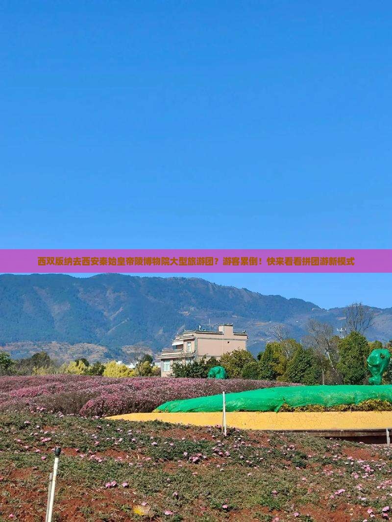 西双版纳去西安秦始皇帝陵博物院大型旅游团？游客累倒！快来看看拼团游新模式