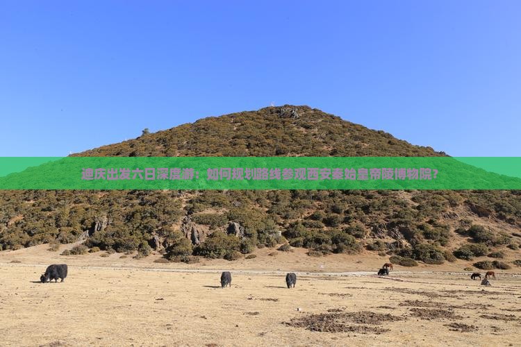 迪庆出发六日深度游：如何规划路线参观西安秦始皇帝陵博物院？